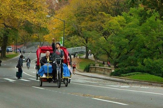 Central Park Private Pedicab Sightseeing Tour