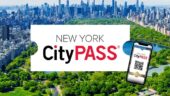 GreenHorn to NYC.!!