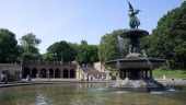 Central Park Walking  Tour with Jeremy Wilcox
