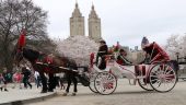 Fun family ride through Central Park