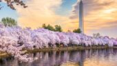 Wonderful Tour