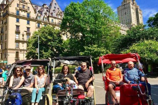 Central Park Private Pedicab Tour for 1 Hour