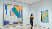 MoMA Surprise.