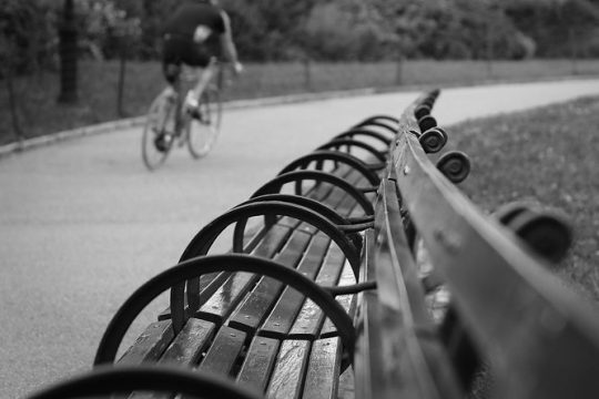 Best of Central Park Bike Tour