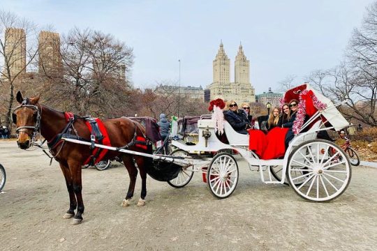 45 Minute VIP Central Park Carriage Ride