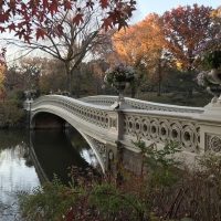 Self-guided Tours & Rentals