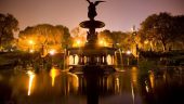 Central Park @ Night with Zim 6/1