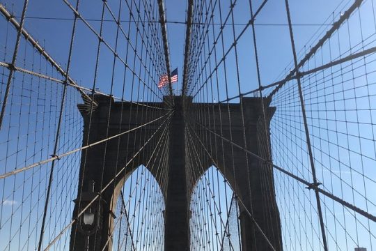 Private Walking Tour: Brooklyn Bridge and DUMBO