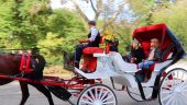 Carriage ride was...