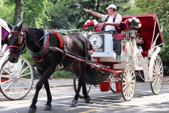 Central Park Horse Carriage Ride w/ Drop Off Tavern On The Green Restaurant