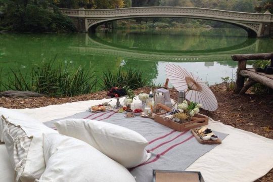 Central Park Picnic Experience for 2