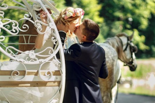 Romantic/Proposal Central Park Carriage Tour (Up to 4 Adults)