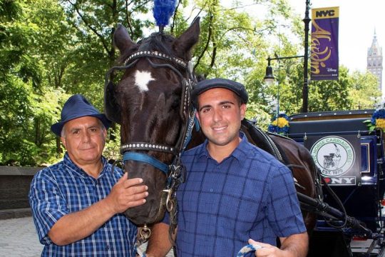 Official NYC Horse Carriage Rides in Central Park since 1979 ™