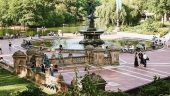 Central Park New York Guided Walking Tour Semi-Private 12ppl Max