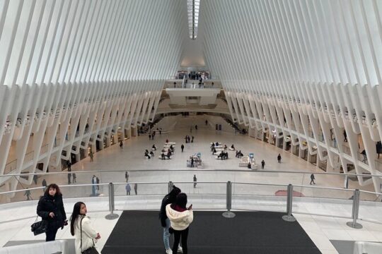 NYC 9/11 Memorial and Financial District Walking Tour