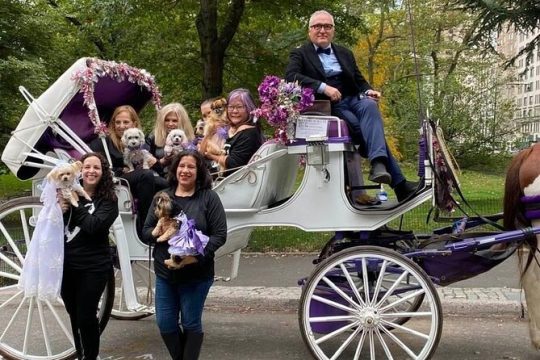 NYC Central Park Horse and Carriage Ride: Long Ride 45 min