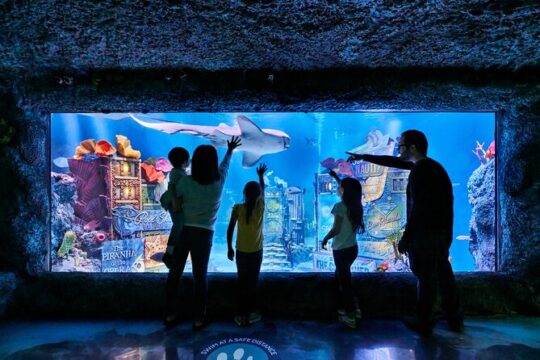 SEA LIFE New Jersey at American Dream