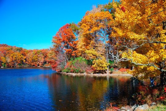 Circle Line: 8-hr Bear Mountain Oktoberfest Cruise