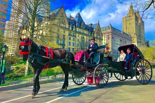 THE VIP CARRIAGE RIDE with photo stops (50min) ~ Skip the line