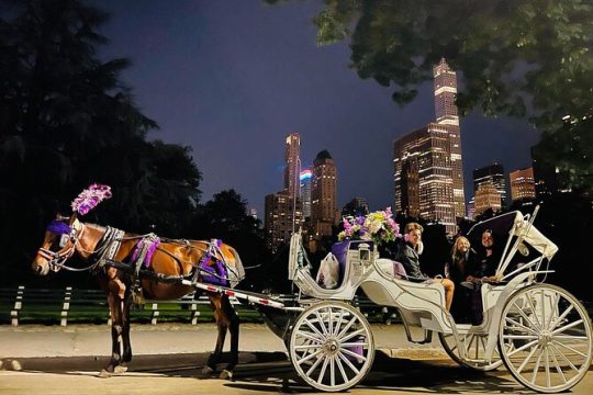 MOONLIGHT RIDE Central Park with Photos (45 min) ~ Skip the line