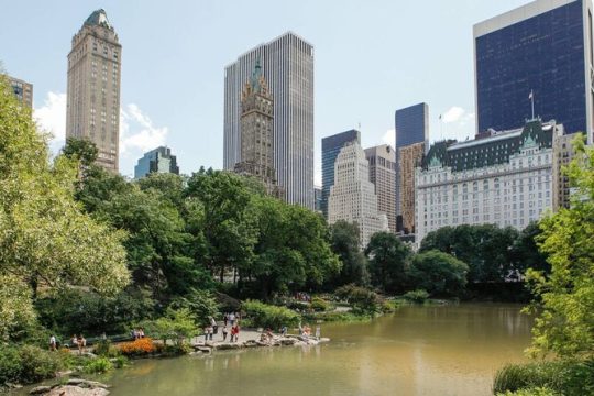 Central Park and 5th Avenue Walking Tour