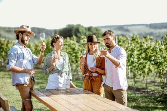 Full-Day Long Island Wine Tour from New York