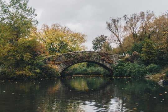 Self Guided "Central Park Movie Tour" Solo Walking Tour in New York City