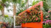 The magnificent orchids experience