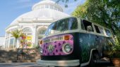 Van Gogh's Starry Night at NY Botanical Garden