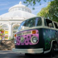 Attraction Tickets