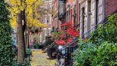 Fantastic Private Tour of NYC Neighborhoods by Travel Curious!