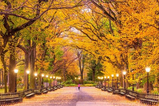 New York’s Iconic Central Park: A Self-Guided Audio Tour