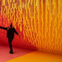 Food, Wine & Nightlife