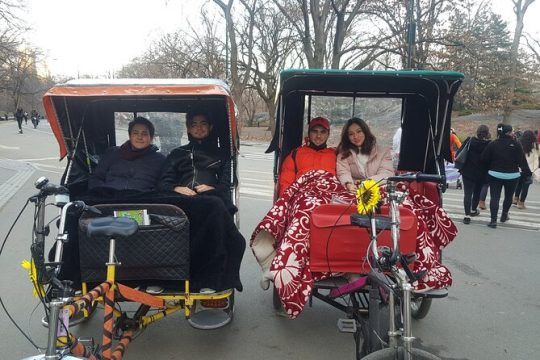 Central Park Pedicab Tour with Stops
