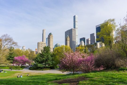 3-Hour Private Guided NYC Central Park Tour with Carrousel Ride