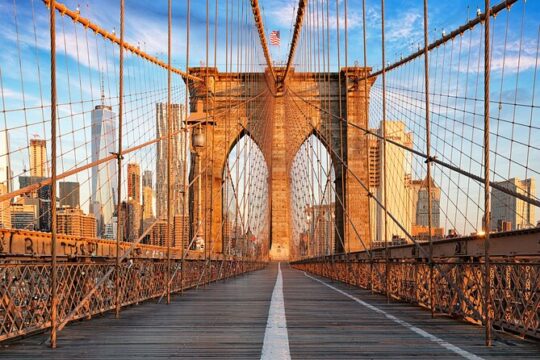 Slavery and African American History Private Tour in NYC