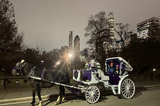Central Park PROPOSAL Horse Carriage Ride ( 1 hour )