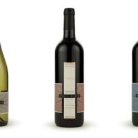 Wine Tasting & Winery Tours