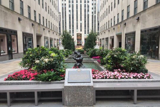 Half Day Tour in New York