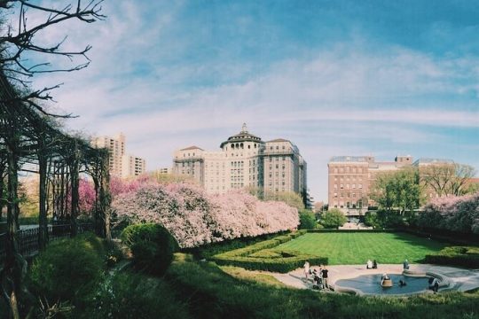 Upper Central Park Running Tour