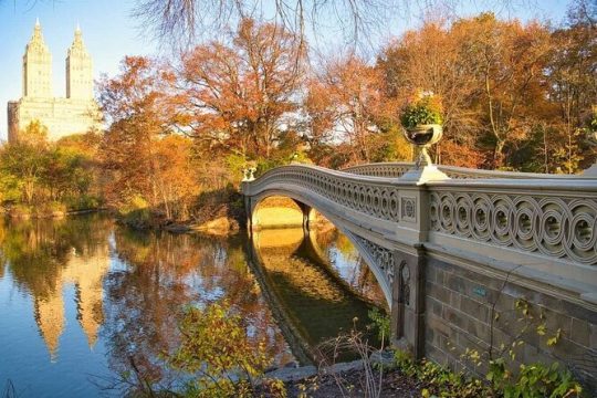 2 Hour Private Walking Tour in Central Park