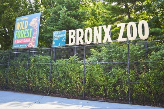 Skip the line Tickets to Bronx Zoo with Private Transfers