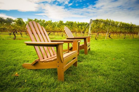 Half Day Private Long Island Wine Tour Experience