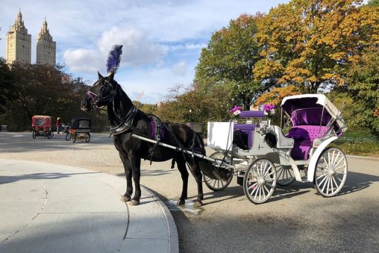 Horse Carriage Ride with Standard Guided Tour in Central Park