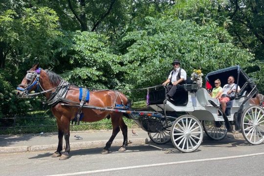 Central Park horse Carriage Rides