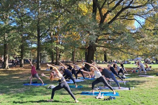 1 Hour Group Yoga Class in Central Park