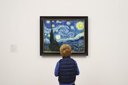 The Museum Of Modern Art and NYC 30+ Top Sights Walking Tour