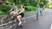 Must do if you like tours!