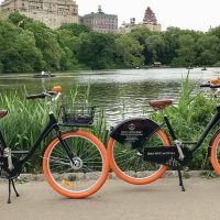 Bike Rentals