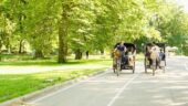 Glide through Central Park with an expert